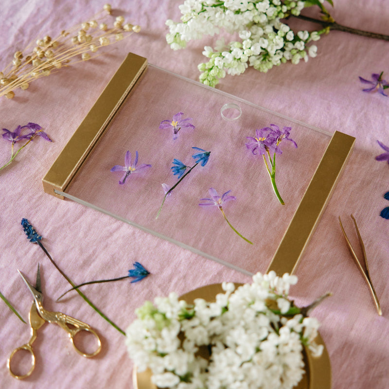 FloraFrame Pressed Flower Frame