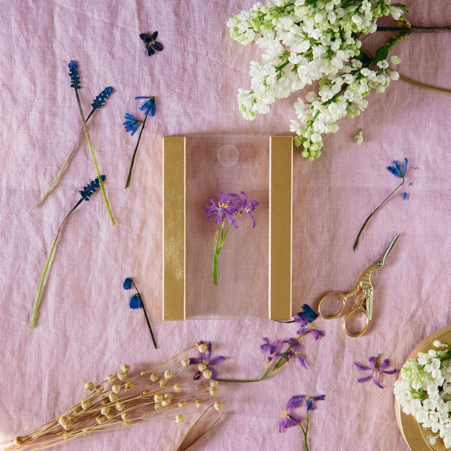 FloraFrame Pressed Flower Frame