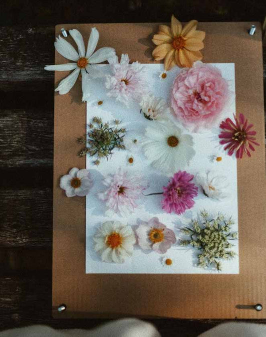 BloomPress - Lavender Flower Press Set